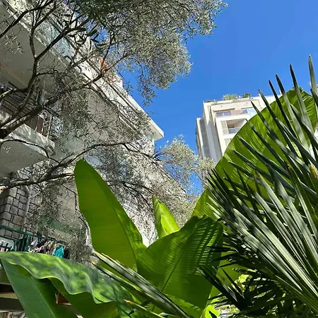 Oliva, Rafailovici *